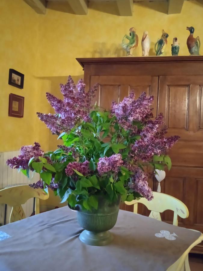 Chambre Dans Prieure De Caractere XVIII Siecle Planioles Buitenkant foto
